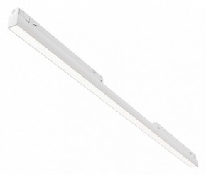 Встраиваемый светильник Maytoni Basis TR030-4-30WTW-DD2-W в Кудымкаре - kudymkar.ok-mebel.com | фото